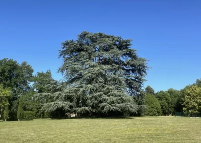 Au pied du cèdre tricentenaire du Gîte du Clot, profitez des 3 hectares de parc pour une promenade, pour vos exercices de méditation ou tout simplement pour profiter de la nature