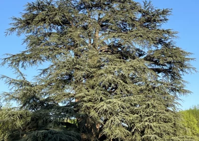 Situé à Castres dans le Tarn, découvrez notre gîte et chambres d'hôte. le gîte du Clot vous accueille